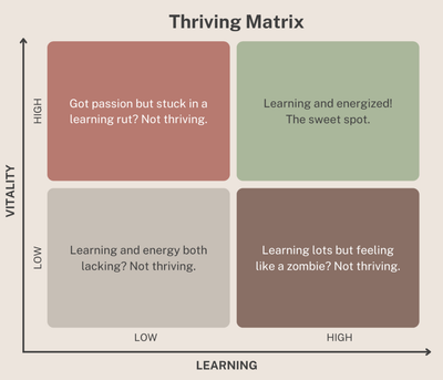 Navigating pressure zones: a post from Automattic's Innovation Exchange